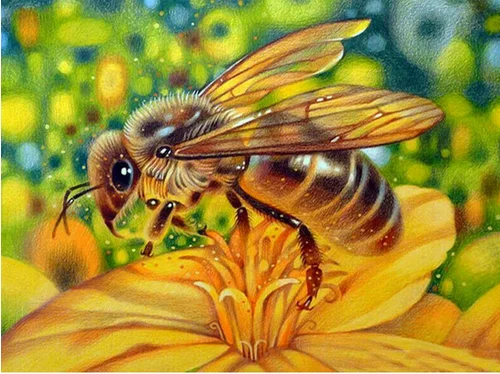 

Diamond Painting honeybee Full circular Diamond Embroidery Embroidery DIY5D Diamond Home decoration