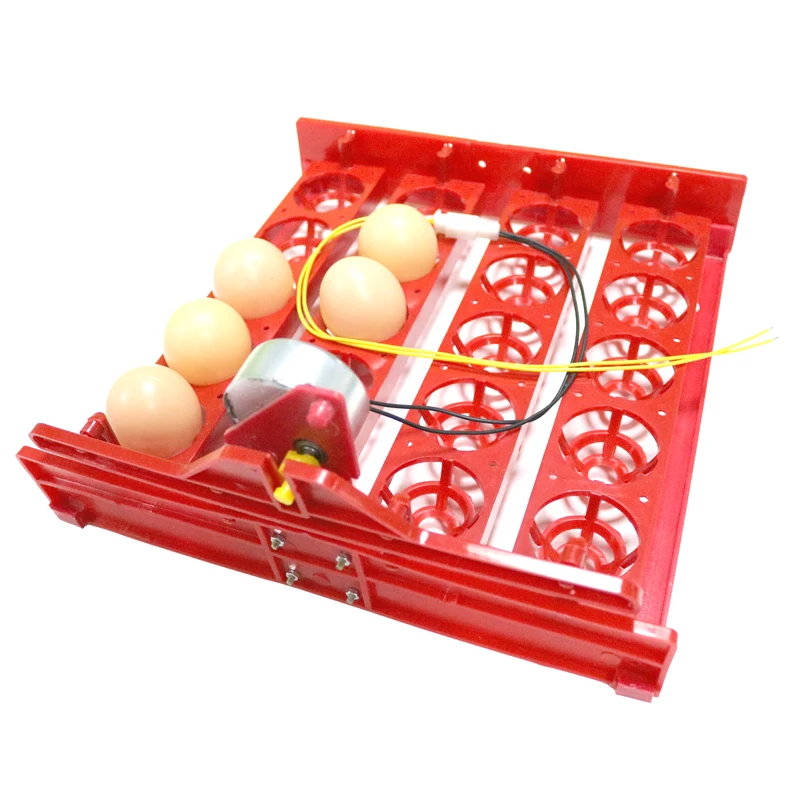 20 Egg Incubator Turn Eggs Tray Eggtester Automatic Incubator Controller Experimental Teaching Equipment