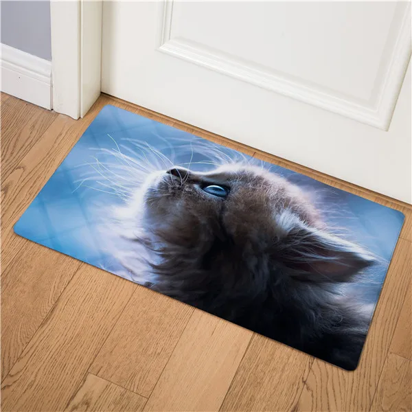 Милый животный Кот передняя дверь коврик для кухни гостиная прихожая вход в ванную комнату Придверный коврик нескользящий коврик 46x75 см - Цвет: 5