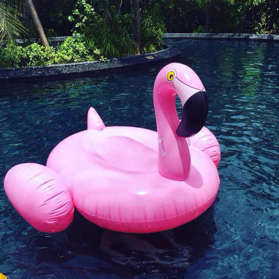 Pool Float (51)