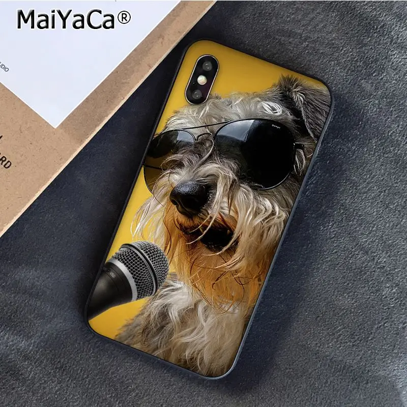 Schnauzer Puppy dog Art