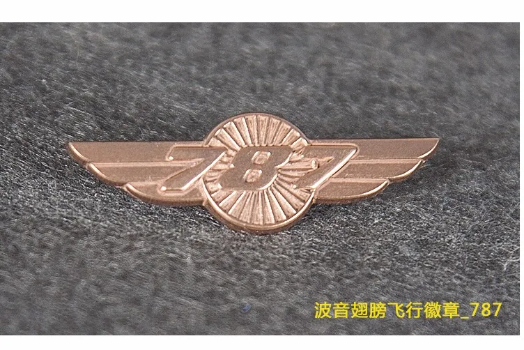 Лот х 50 шт. винтажный значок Boeing 737/747/777/787, брошь-булавка, лучший маленький подарок для авиатора-авиатора