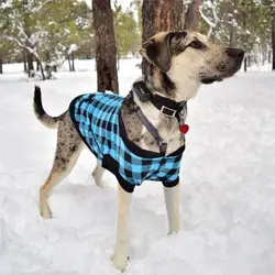 Стильная теплая одежда для собак забавная Одежда для собак 2018 зимнее теплое пальто Одежда для собак для маленьких собак аксессуары # FN05