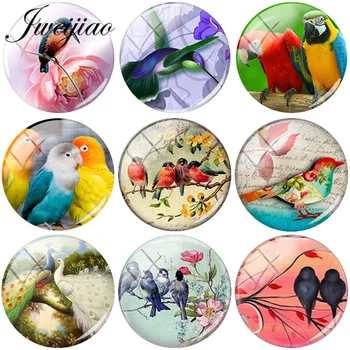 

JWEIJIAO DIY Glass dome art picture birds Glass Gems Handmade Jewelry Findings Accessories For Earrings Bracelet Brooches