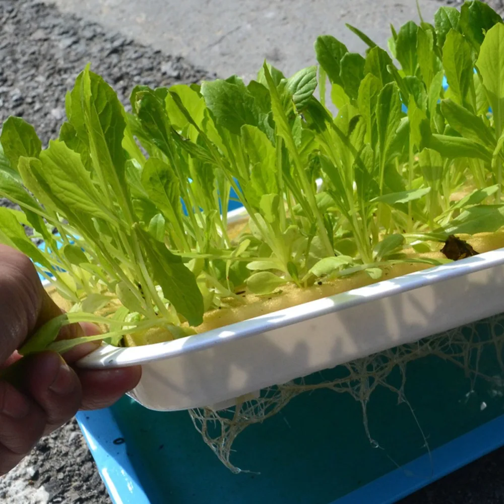 3684294024_1260235731