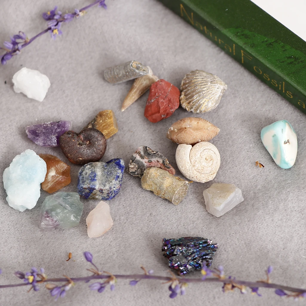 Rock & Mineral Collection GN201 Geology Science Kit Earth Science Toy - Pack Of 20