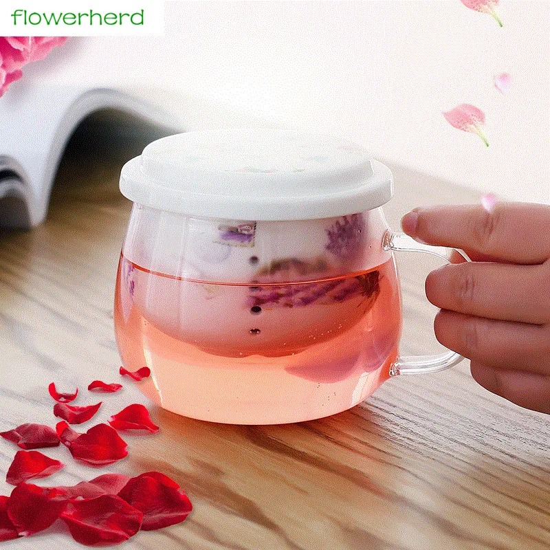 TeaCups Teapot With Lid Tea Leaves Filter Strainer Lemon Tea Maker Coffee Infusers Mug Glass