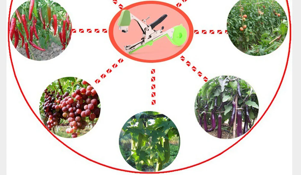 Машина для завязывания винограда, машина для завязывания винограда, машина для изготовления томатной лозы, пистолет для огуречной лозы, тапенер, устройство для завязывания степлера, привязанные садовые инструменты из ротанга