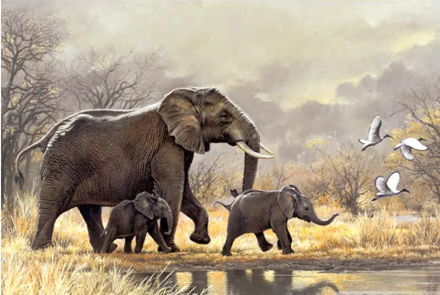 

Full Square/Round Drill 5D DIY Diamond Painting "Animal elephant" Embroidery Cross Stitch 5D Home Decor Gift