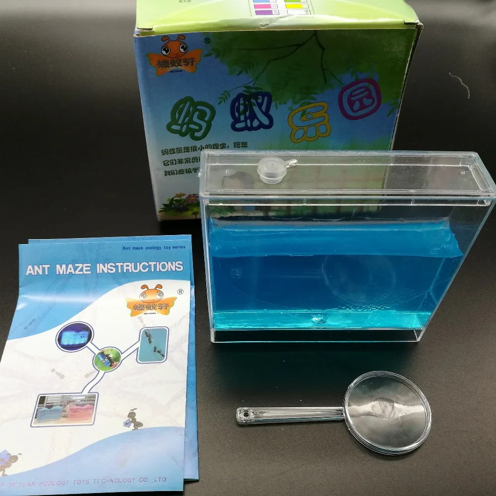 

Ants ants ecological textbooks workshop, pet toys, home antworks Ant farm
