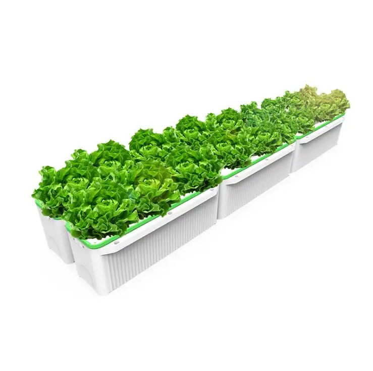 High Quality Balcony indoor Hydroponics system NFT water culture soilless cultivation organic vegetable planting box