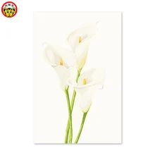 Картина по номерам художественная краска по номеру белая Подкова украшение для покрытия местоположения области