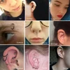 2pcs/lot G23 Titanium Segment Hinged Rings Septum Nose Clicker Piercing Nose Lip Earrings Helix Eyebrow Piercing Jewelry 16G&14G ► Photo 2/6