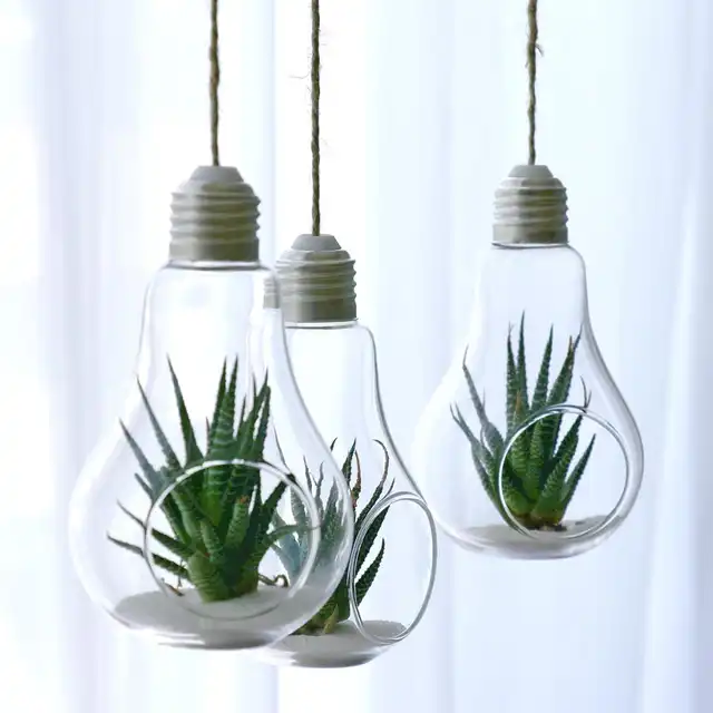 Pack Of Light Bulb Hanging Plant Terrarium Glass Vase Succulent