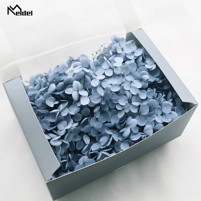 20g Preserved Hydrangea Flowers Box Natural Dried Flowers For Home Decor Artificial Flower High Quality DIY Gifts Anna Hydrangea