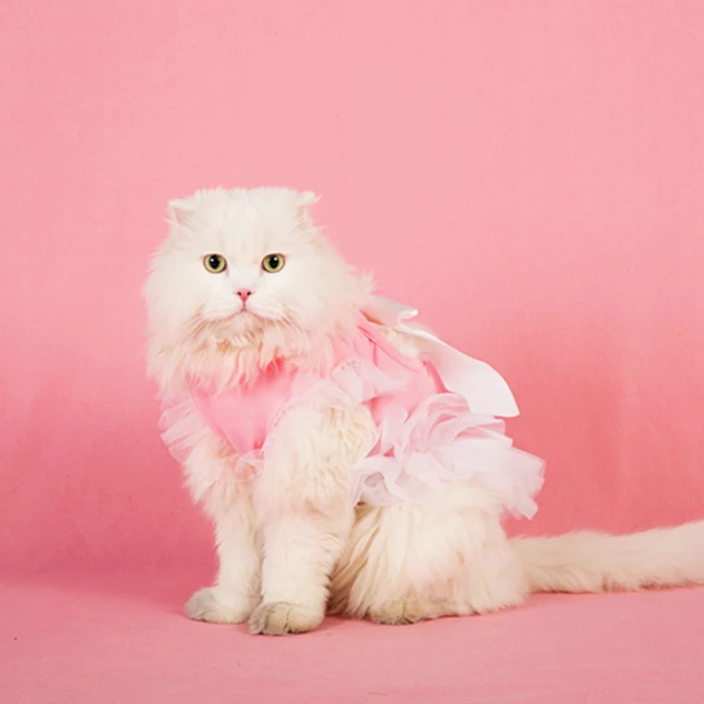 Buy Pet Costume Clothes Cats Wear Vest Drees Autumn