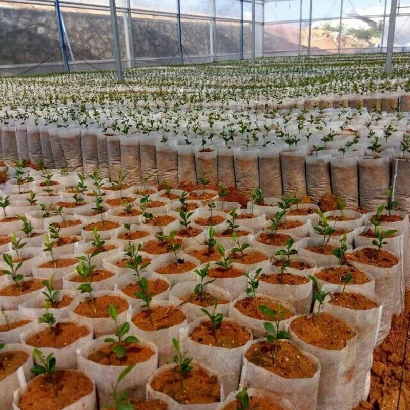 100pcs Garden Nursery Bags Plant Grow Seedling Biodegradable Fabrics Pots Raising Eco-Friendly Aeration Planting Bags Supplies