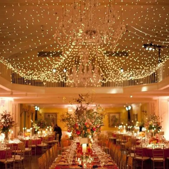 

Wedding Decorations Outdoor Indoor Festival String Lights 4M 6m net LED Colorful String Lights 220v 110v Christmas String New Ye