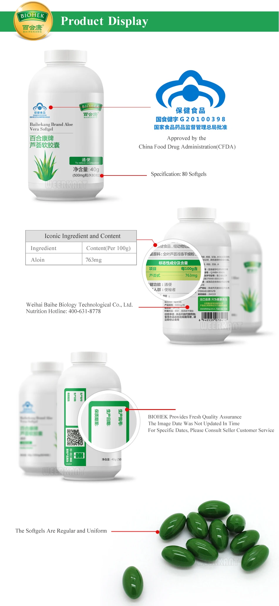 15_Aloe_Vera