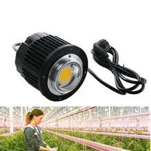 100 Вт Светодиодный светильник CREE COB CXB3590 3000K 3500K 5000K 12000LM чип с высокой мощностью люменов для самостоятельного выращивания растений