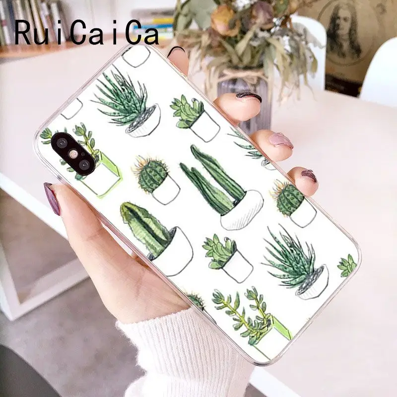 Candy Color Art Cactus Plant