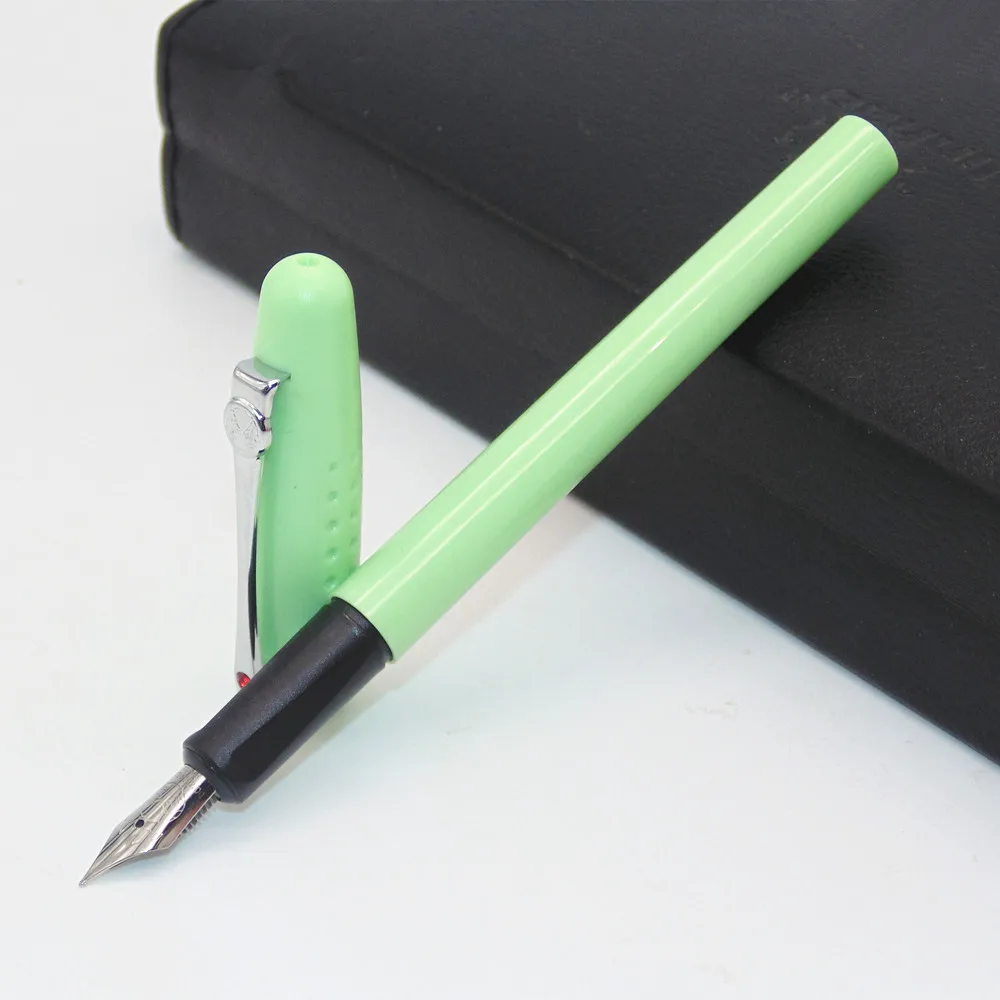 Pretty Senior lion King exclusive Light green German Medium Nib