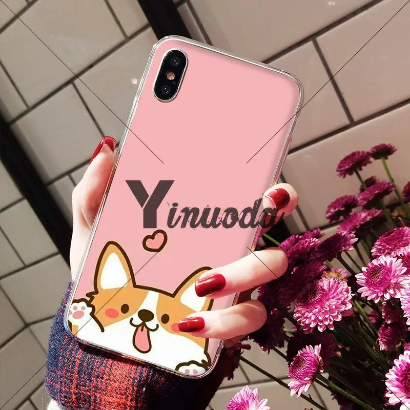 Animal cute Welsh Corgi sexy ass