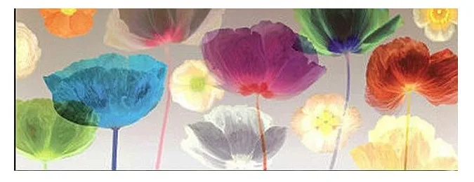 High quality Hand-painted home decor Oil Painting on canvas Modern style frameless painting colorful mood oil | Дом и сад