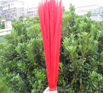 

sell 50pcs /lot Beautiful red pheasant feather 40-45 cm /16-18 inch DIY handwork ornaments feather