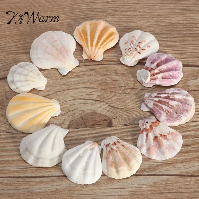 

KiWarm Hot Sale 10Pcs/set Mediterranean Style DIY Beach SeaShells Mix Sea Natural Shells Shell Crafts Aquarium Fish Tank Decor