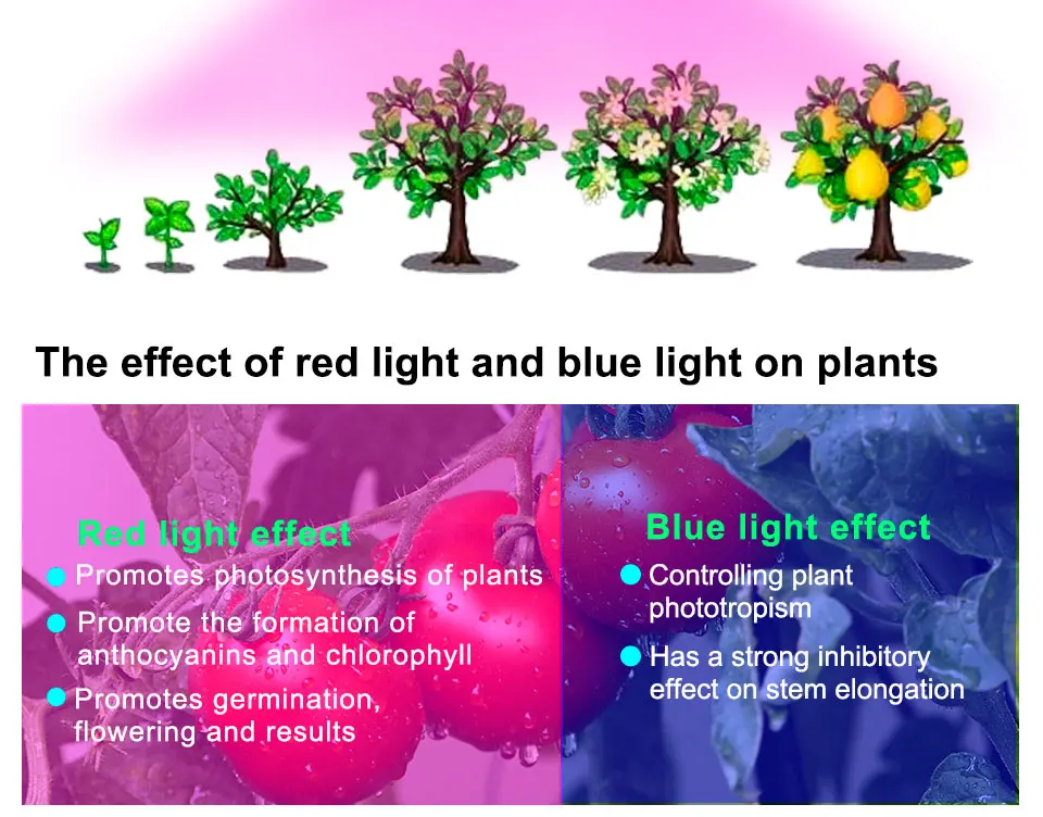 Светодиодный E27 полный спектр комнатных растений лампа для выращивания 220 В светодиодный светильник s лампа светодиодный светильник для выращивания растений теплица Гидропоника