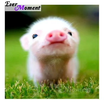 

Ever Moment Diamond Painting Pig Grass Picture Mosaic Cross Stitch Full Square Drill Diamond Embroidery Decor Home S2F956
