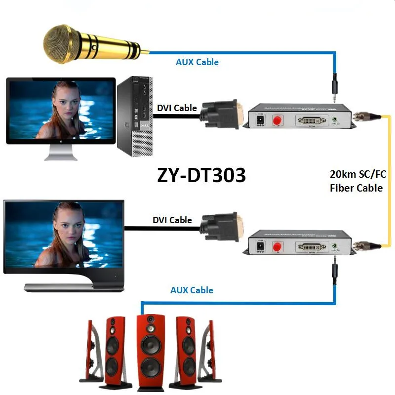 ZY-DT303(13)