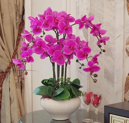 1 conjunto de orquídea phalaenopsis real touch flor de alta qualidade arranjo  de flores como flor real azul branco roxo|touch flower|real touch  flowersreal touch - AliExpress