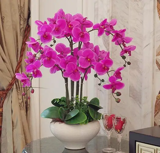 orchid Phalaenopsis real touch flower with leaves artificial orchids