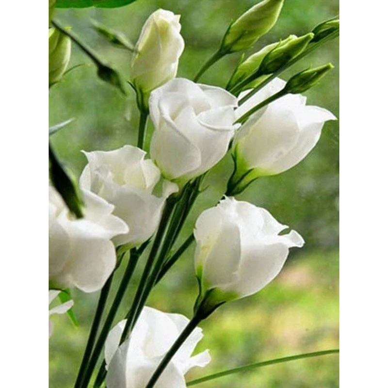 HTB1jJq2XOzxK1RkSnaVq6xn9VXag