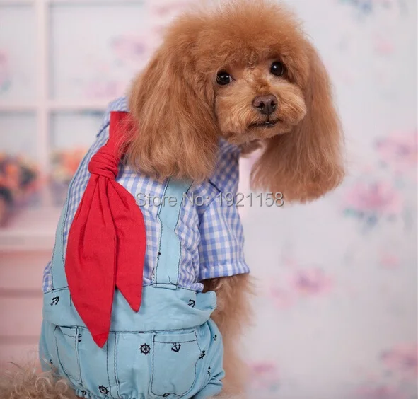 2016_Hot_sale_New_Spring_Pet_dog_clothes_College_Style_pet_Jumpsuit_Pants_Puppy_dog_Bib_clothes_Lovely_Four-legs_clothes_4