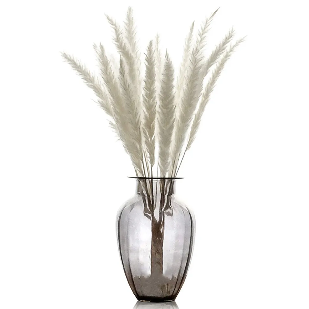 

15pcs Wedding Decorative Bouquet Natural Dried Small Pampas Grass Phragmites Communis Foxtail Grass Bouquet Vase Not Included