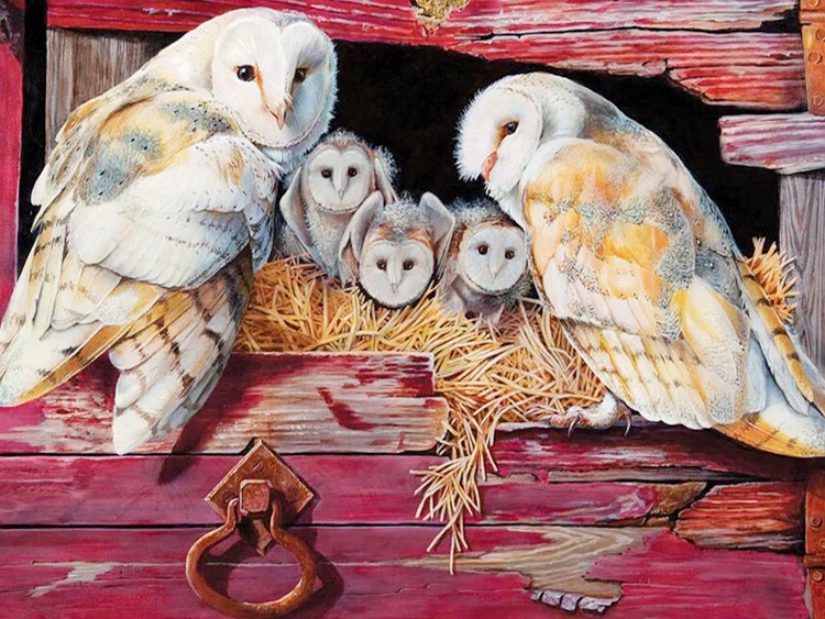 

A3497 Diamond Embroidery Home Decor Cross Stitch Owls 100% Resin Tool dril Painting Cross Stitch Mosaic Needlework