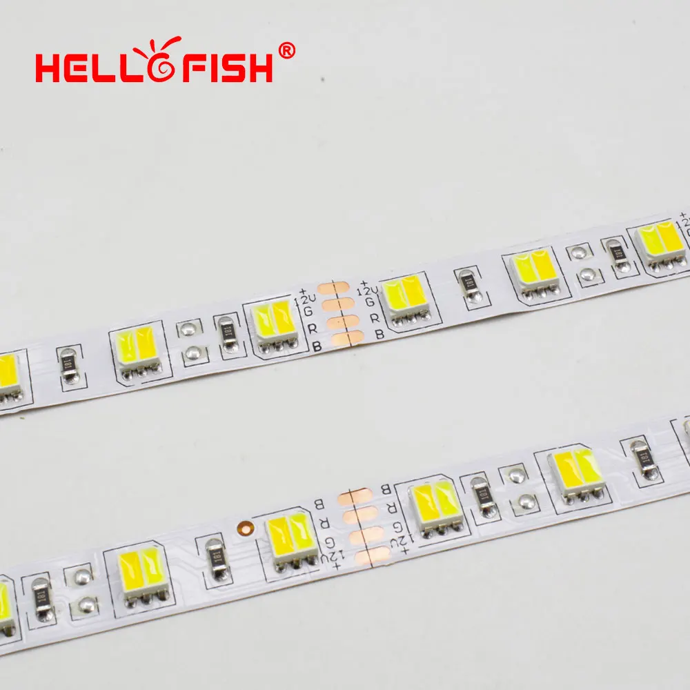 5050-60-WWW-N-05