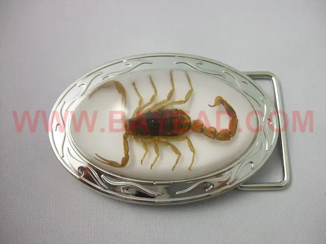 scorpion belt buckle