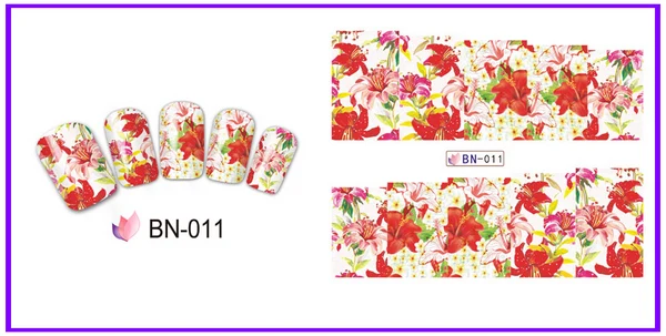 BN-011