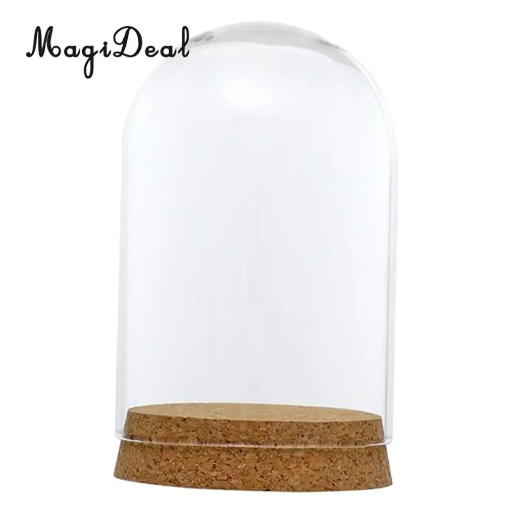 2pcs Clear Glass Display Dome Cover Cloche Bell Jar Succulent Terrariums with Wood Cork for Office Table Decor DIY