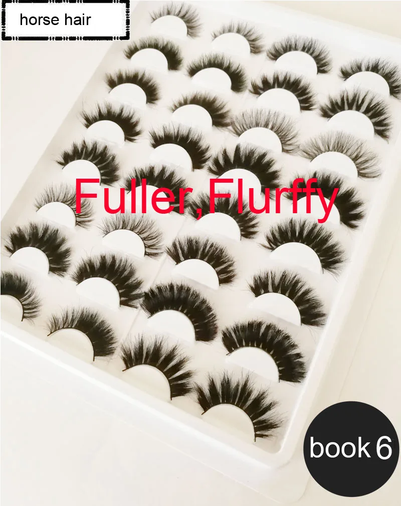 book 6 (1)