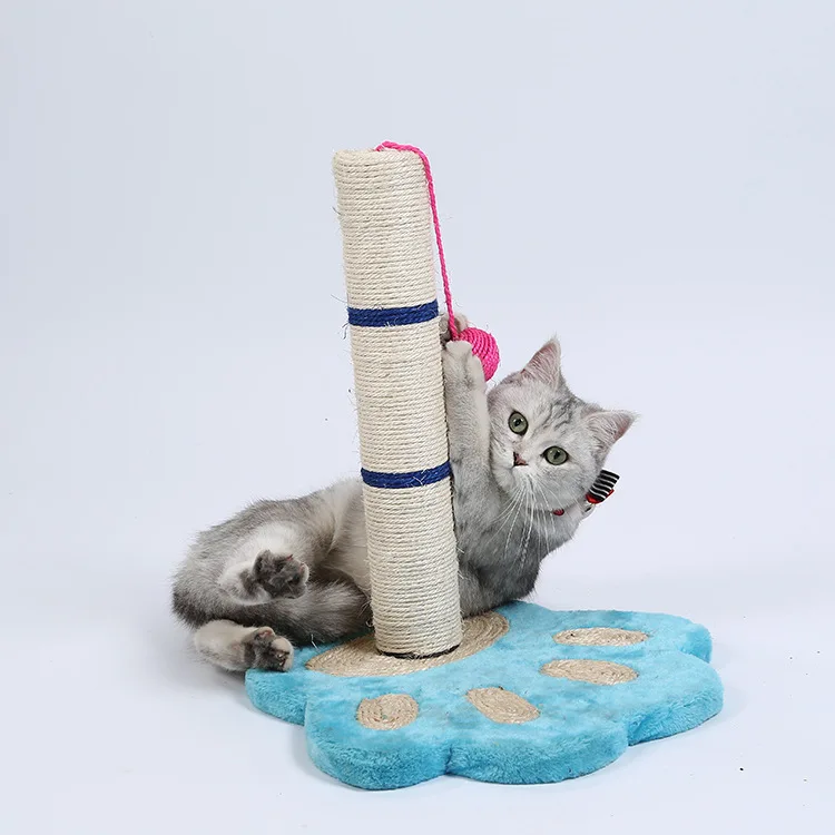 5325929508_568401378