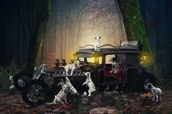 

Dalmatian Madness 101 dog car Night Forest photo backdrop High quality Computer print children kids background