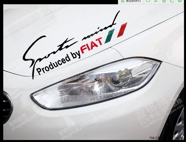 

Car Styling 30*8cm For Fiat 500 Fiat Bravo Fiat Palio Car Sticker for Light Brow Decals