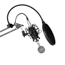 ERBM-800 конденсаторный микрофон и NW-35 ножничная подставка XLR кабель и адаптер Комплект Профессиональный записывающий микрофон для создания музыки