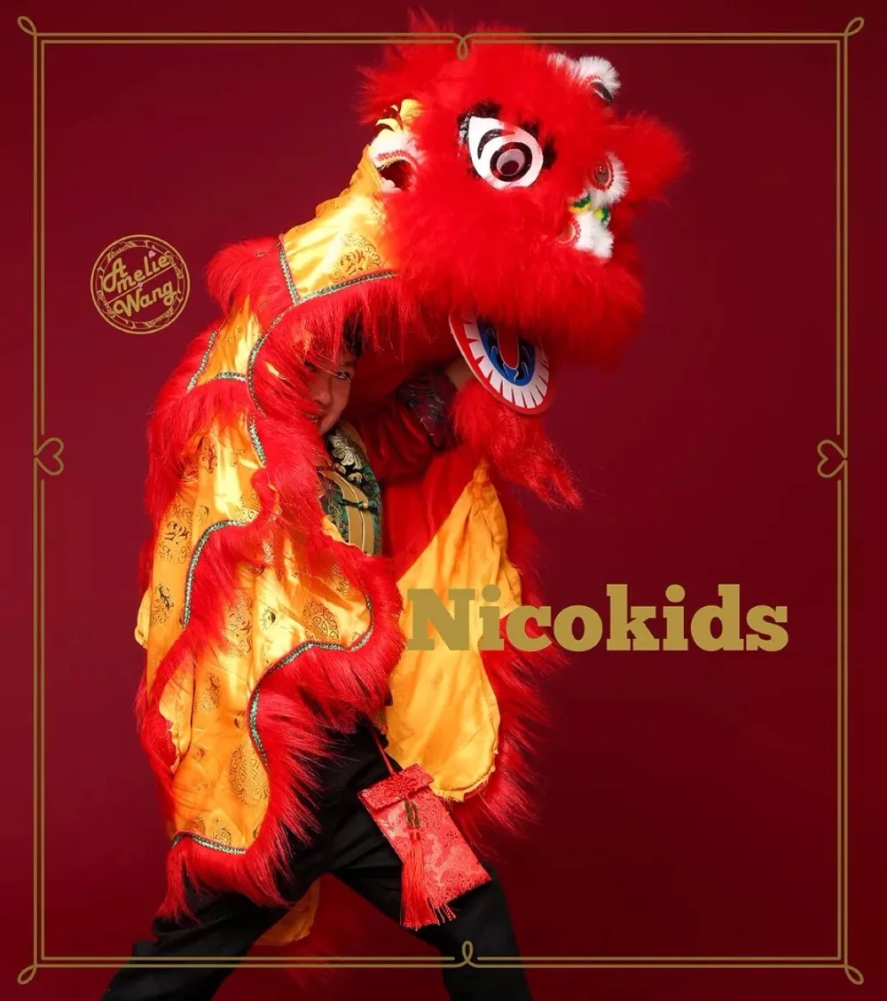 Buy Premium Kids Size Lion Dance Performance Lion