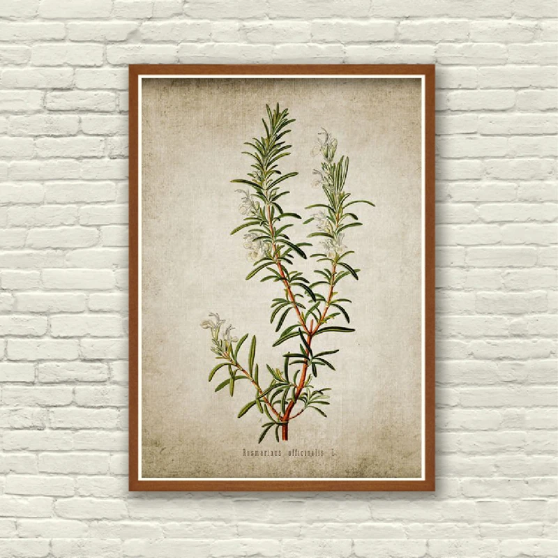 herb prints